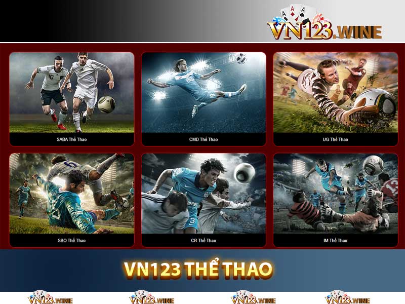 vn123 thể thao