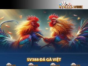 SV388 Đá Gà Việt tại Vn123