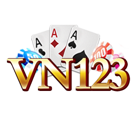 VN123